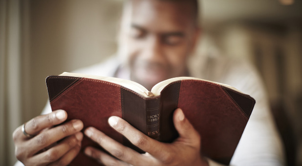 The BIble has a lot more interesting stories than simply the oldies but goodies. The BIble has a lot more interesting stories than simply the oldies but goodies.