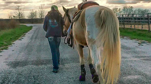 Will this horse drink when led to water? Will this horse drink when led to water?