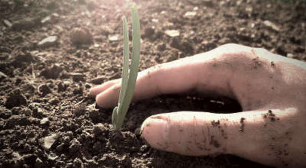 The soil is fertile around you, pastor. Here's how to recognize where to plant. The soil is fertile around you, pastor. Here's how to recognize where to plant.