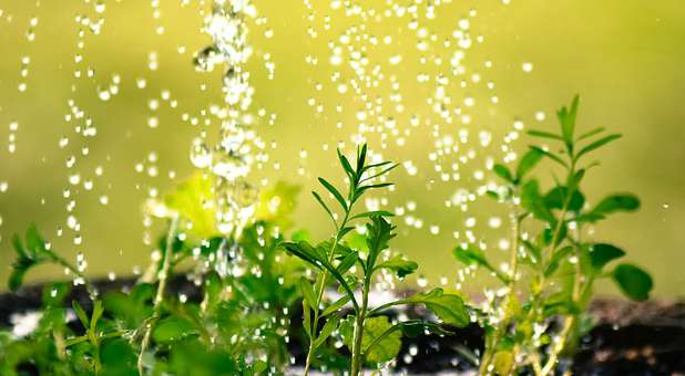 Growing your church requires positive strategy.