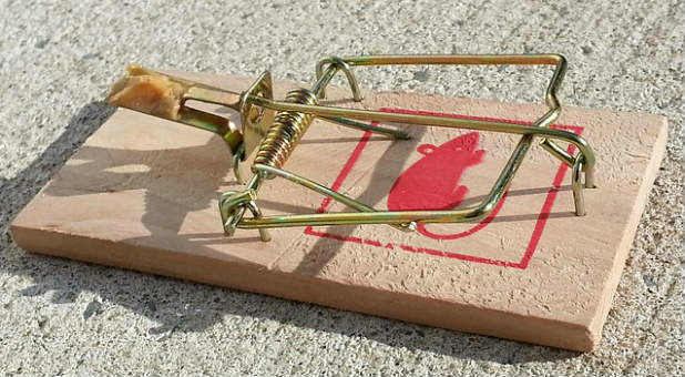 Avoid the trap many leaders find tantalizing.